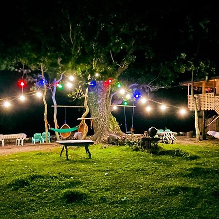 マンバヤオ Borbon'S Treehouse By The Sea Bed & Breakfast エクステリア 写真