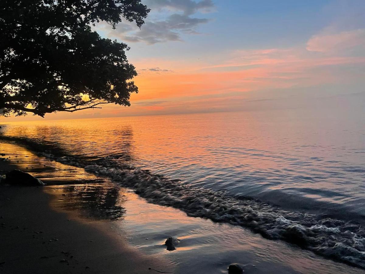 マンバヤオ Borbon'S Treehouse By The Sea Bed & Breakfast エクステリア 写真