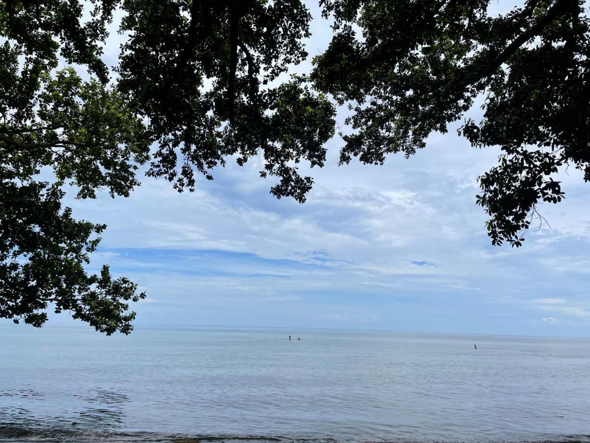 マンバヤオ Borbon'S Treehouse By The Sea Bed & Breakfast エクステリア 写真